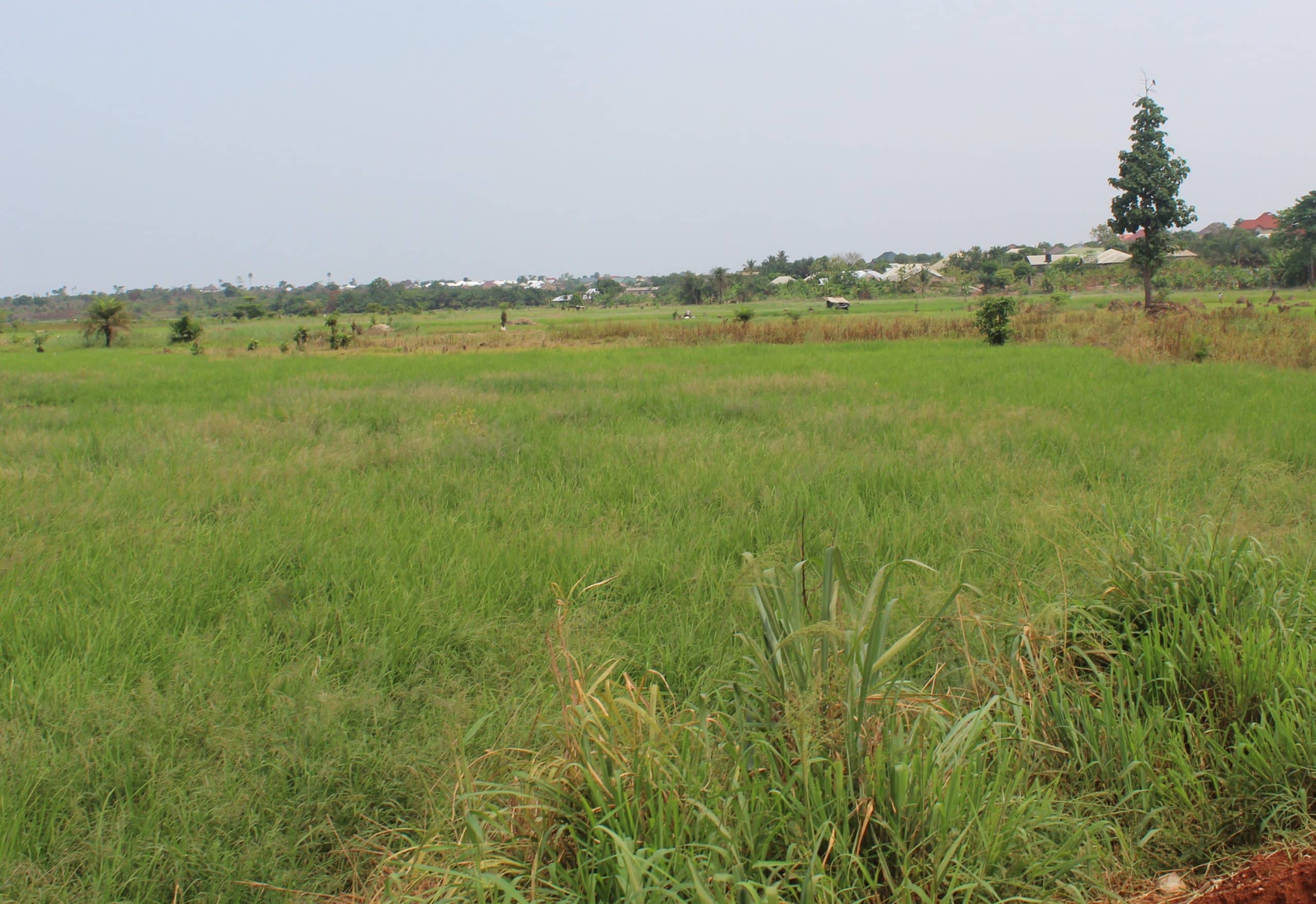 stool land in ghana