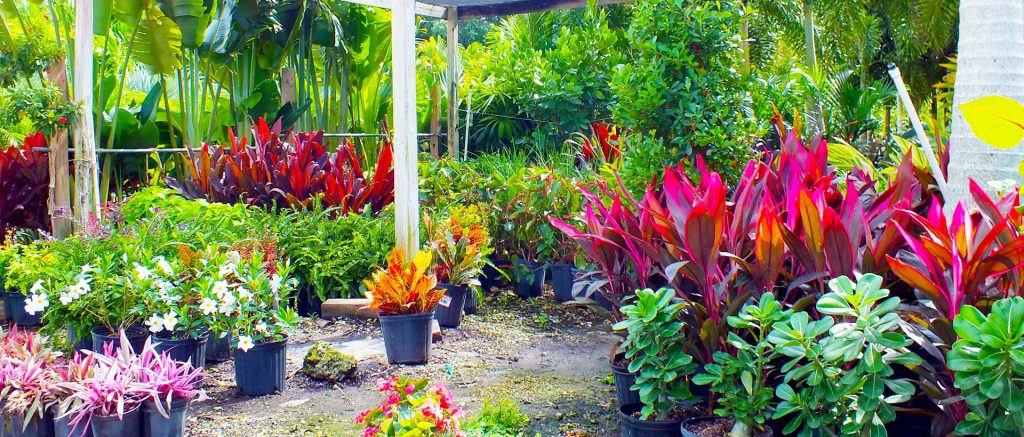 1 bedroom Apartment in Osu