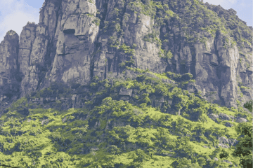 Buying Land in Ghana: 5 Red Flags to Watch Out For to Avoid Scams