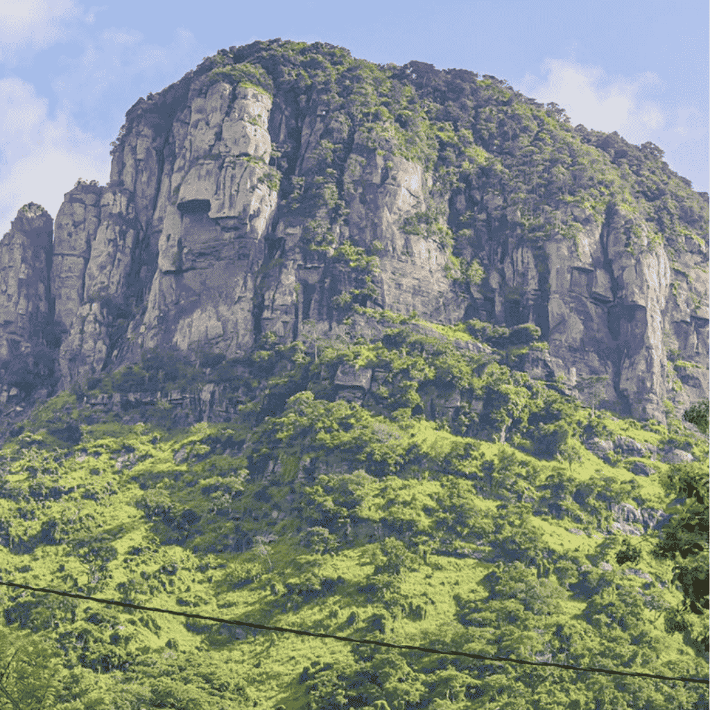 Buying Land in Ghana: 5 Red Flags to Watch Out For to Avoid Scams